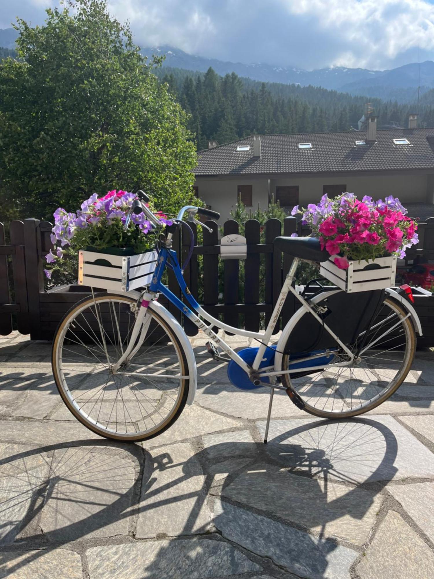 Hotel Alle Tre Baite Santa Caterina Valfurva Bagian luar foto